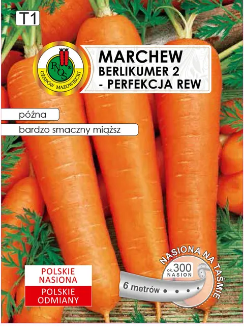 PNOS Marchew jadalna Berlikumer 2 - Perfekcja REW 6m nasiona na taśmie