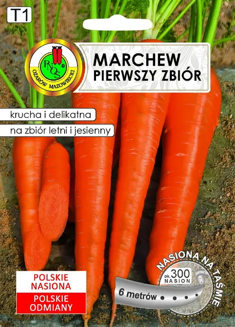 PNOS Marchew jadalna Pierwszy Zbiór taśma 6m