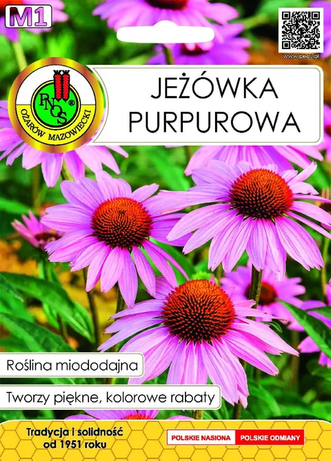 PNOS Jeżówka Purpurowa miododajna 1g
