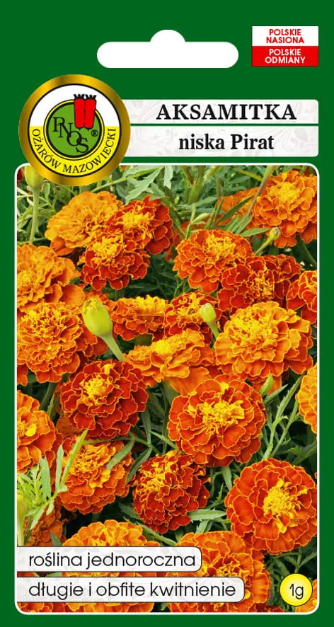 PNOS Cynia Daliowa Eldorado Pomarańczowa 1g
