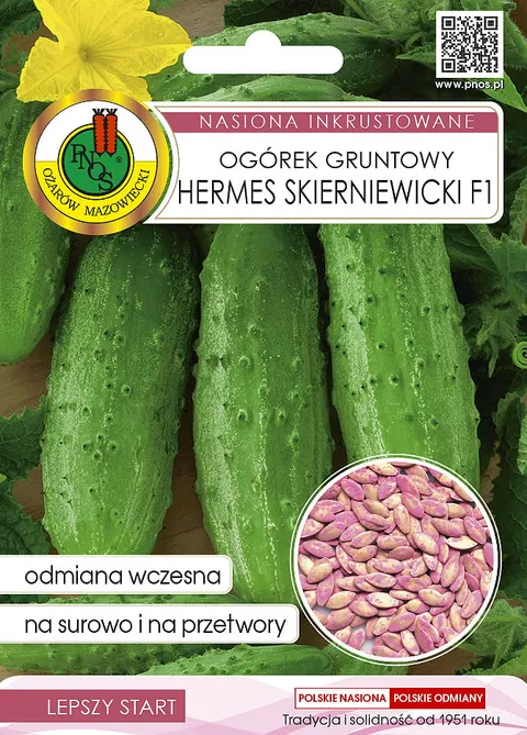 PNOS Ogórek Gruntowy Hermes Skierniewicki F1 nasiona inkrustowane 5g