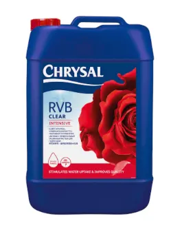 CHRISTAL RVB Clear Intensive 5l