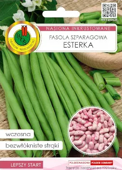 PNOS Fasola szparagowa zielona karłowa Esterka 30g nasiona inkrustowane