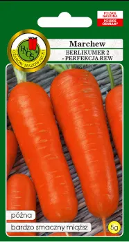 PNOS Marchew jadalna Berlikumer2 100g