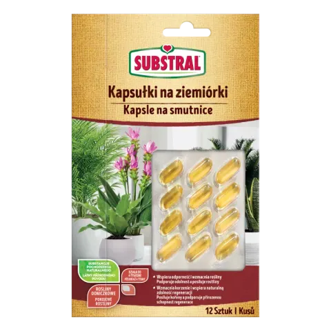 Substral Kapsułki na ziemiórki 12 szt.