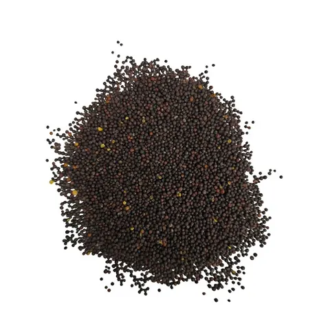 Rzepik paszowy 1 kg