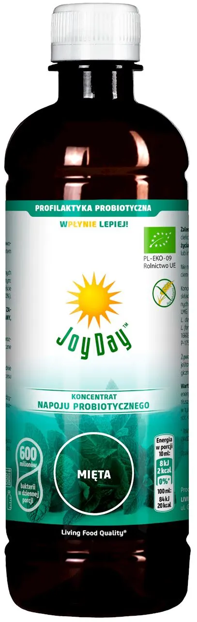 Joy Day Mięta Napój Probiotyczny Koncentrat BIO 500 ml Living Food
