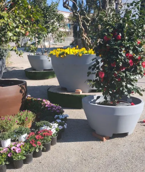ELBI Donica ERCOLE 90 Szara