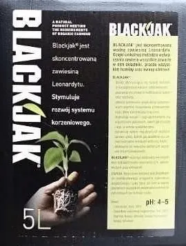 BlackJak 5l