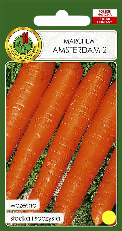 Marchew jadalna AMSTERDAM 2 500g