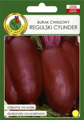Burak ćwikłowy Regulski Cylinder 100g