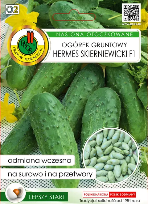 PNOS Ogórek gruntowy Hermes Skierniewicki F1 5z ot