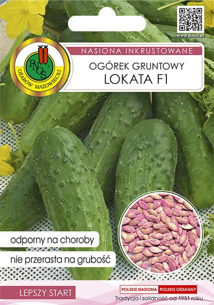 PNOS Ogórek gruntowy Lokata F1 5g nasiona inkrustowane