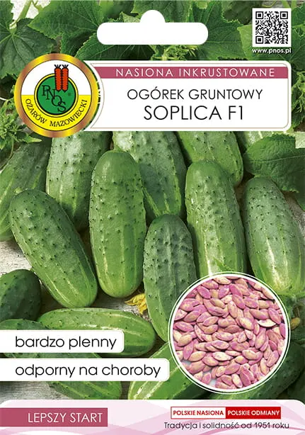 PNOS Ogórek gruntowy Soplica F1 5g nasiona zaprawiane