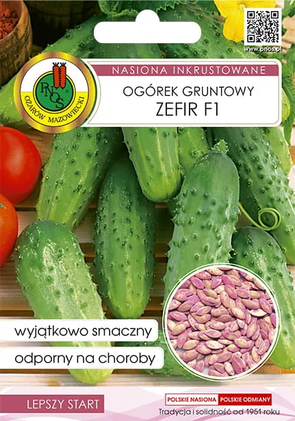 PNOS Ogórek gruntowy Zefir F1 5g nasiona zaprawiane