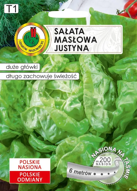 PNOS Sałata głowiasta masłowa Justyna 6m nasiona na taśmie