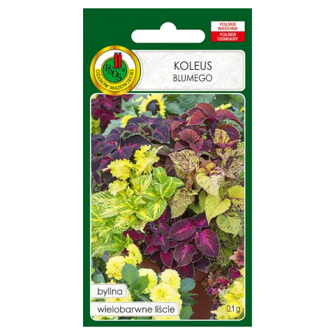 PNOS Koleus Blumego 0,1g mieszany