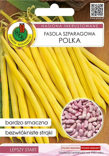 PNOS Fasola szparagowa żółta karłowa Polka 30g nasiona inkrustowane
