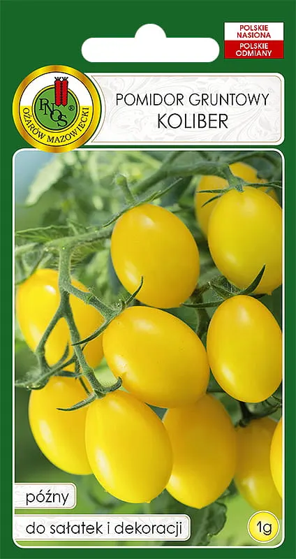 Pomidor gruntowy KOLIBER 1g