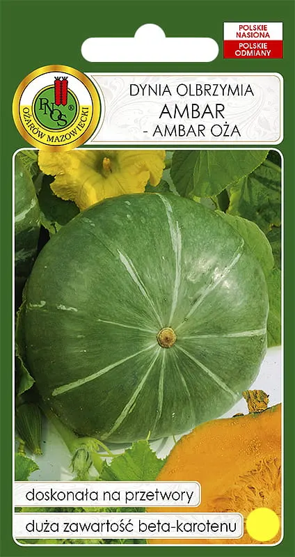 Dynia olbrzymia AMBAR - OŻA 500g