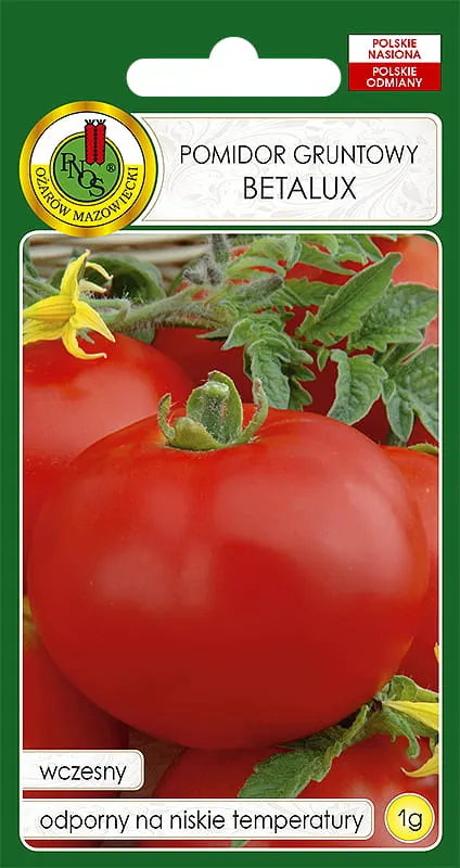 Pomidor gruntowy BETALUX-BETALUX OŻA 1g