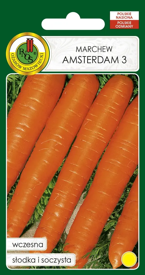 Marchew jadalna AMSTERDAM 3 50g