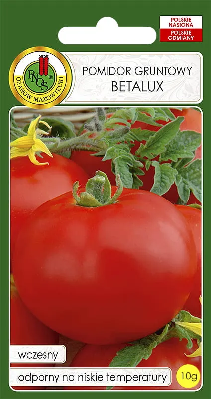 Pomidor gruntowy BETALUX - OŻA 10g