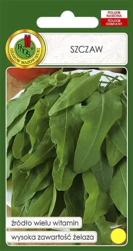 Szczaw 100g