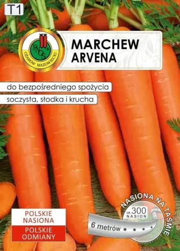 PNOS Marchew Arvena 6m nasiona na taśmie