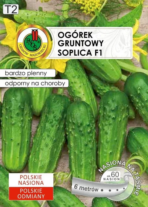 Ogórek gruntowy Soplica 6m