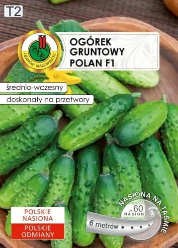 PNOS Ogórek gruntowy Polan F1 6m nasiona na taśmie