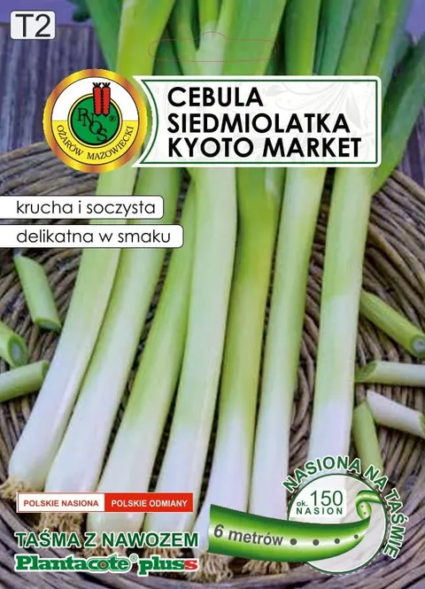 PNOS Cebula siedmiolatka Kyoto Market 6m nasiona na taśmie nawóz