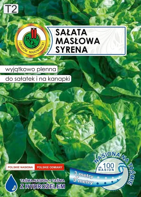 Sałata głowiasta masłowa Syrena 6m