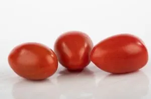 Pomidor pod osłony cherry plum Solemio F1 250z