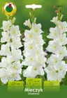 Mieczyk (Gladiolus) biały 7szt.