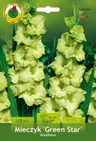 Mieczyk (Gladiolus) Green Star 7szt.