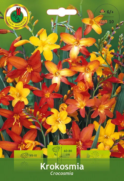 Krokosmia Mix 10szt.