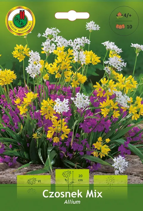 Czosnek ozdobny (Allium) Mix 10szt.