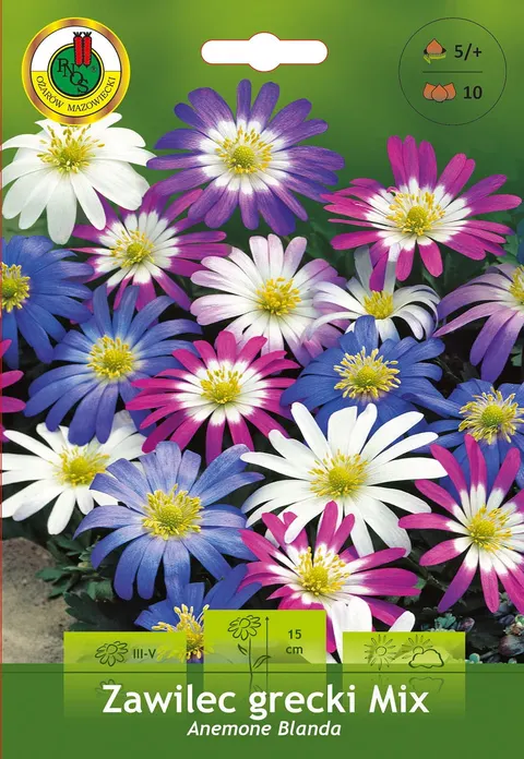 Zawilec Grecki (Anemon Blanda) Mix 10szt.