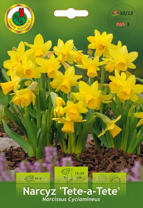 Narcyz (Narcissus) Tete A Tete 3szt.