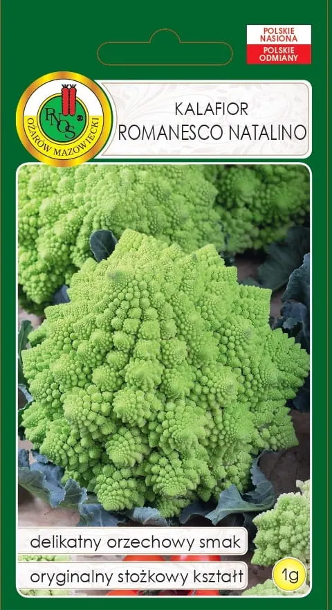 Kalafior Romanesco Natalino 1g