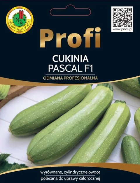Dynia zwycz. CUKINIA Pascal F1 15z