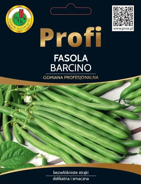 Fasola szparag. zielona karłowa Barcino 100z