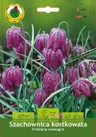 Szachownica (Fritillaria) Kostkowata Meleagris 10szt.