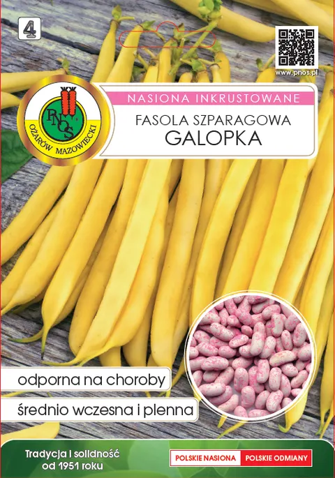 Fasola szparag. żółta karłowa Galopka inkrust. 30g