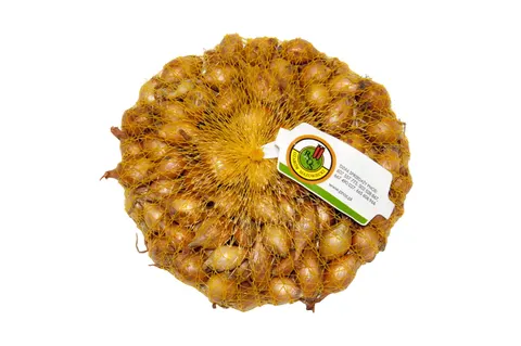 Cebula dymka żółta 'EFEKT' Wyb. I 500g