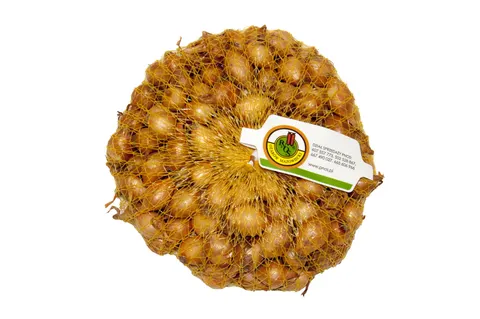 Cebula dymka żółta 'KRISTINE' Wyb. II 500g