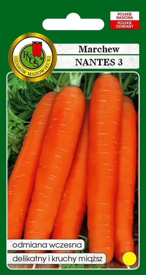 Marchew jadalna Nantes 2 50g