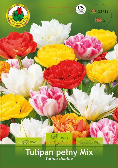 Tulipan (Tulipa) Pełny Mix 5 szt.