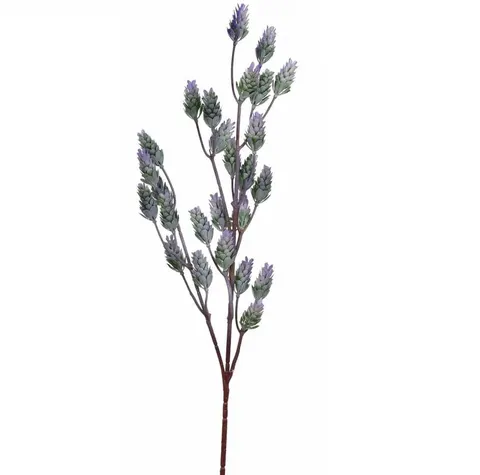 Gałązka szyszek chmielu, 26 szyszek, wys. 78cm